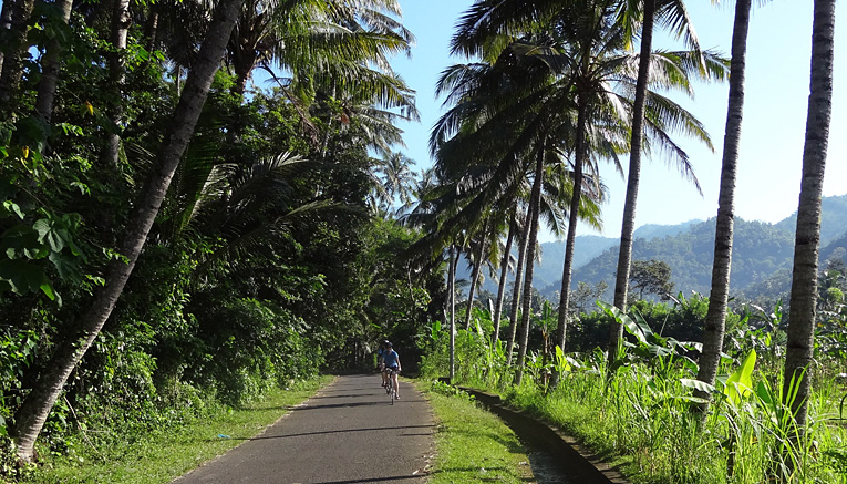 Bbli_bali-biking